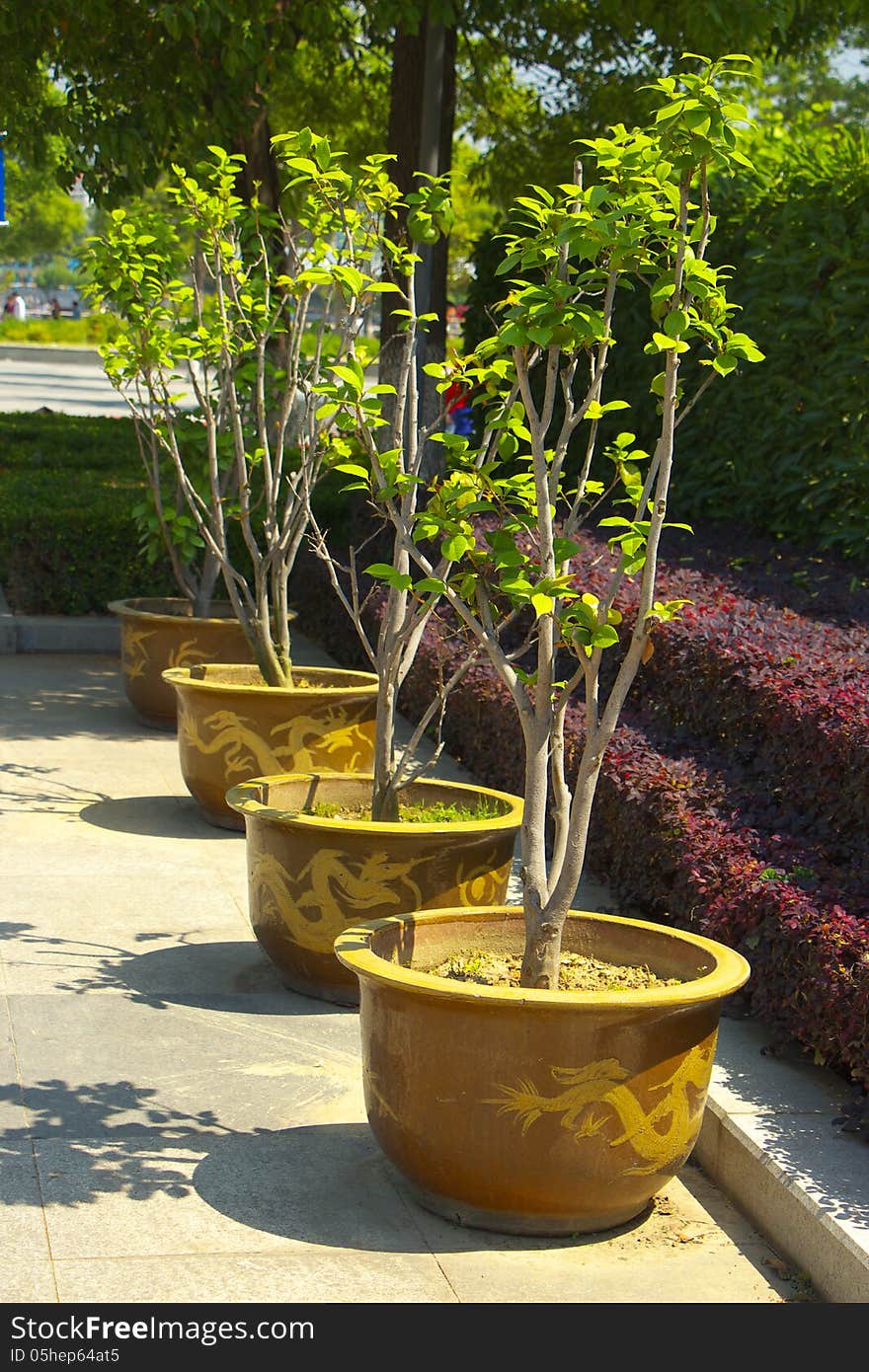 Landscaping palnts is planted in the flowerpot in a quiet park. Landscaping palnts is planted in the flowerpot in a quiet park.