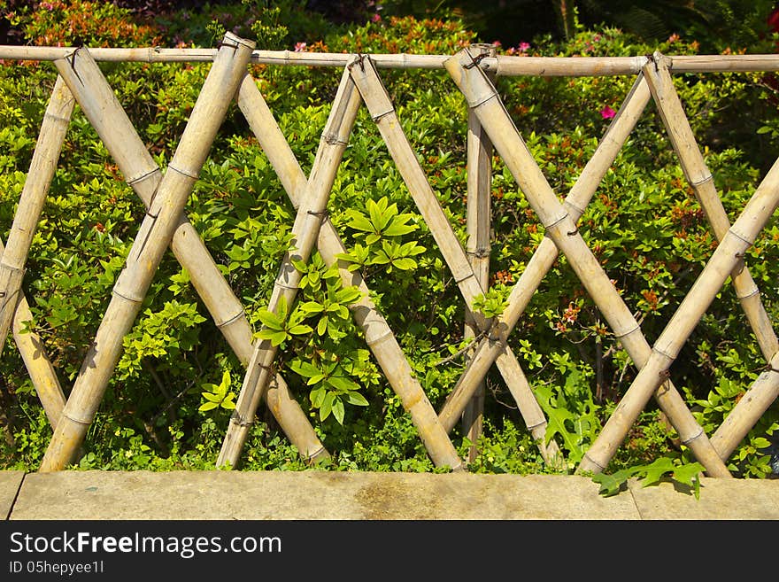 Wooden fence