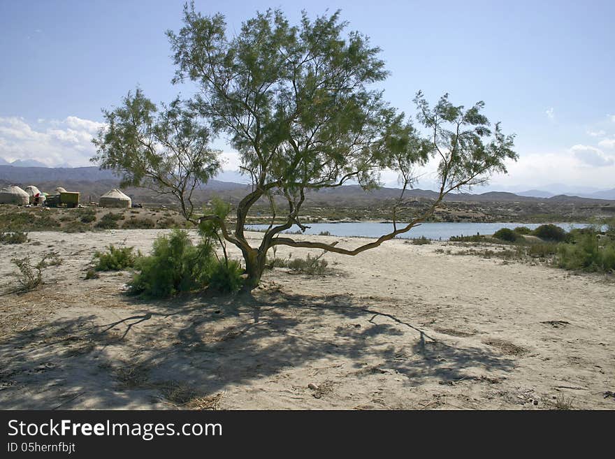 Coast of lake.