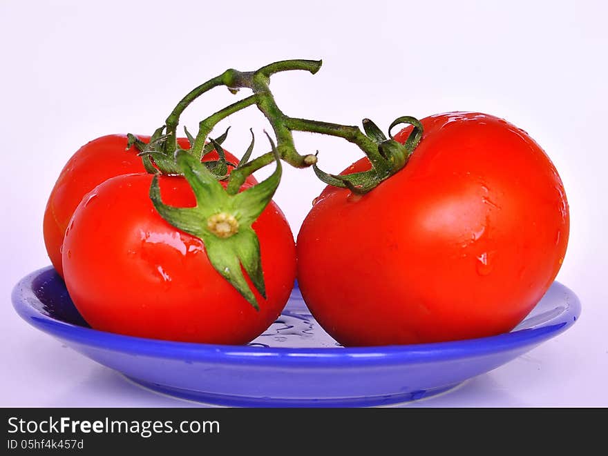 Red tomato on blue and white background