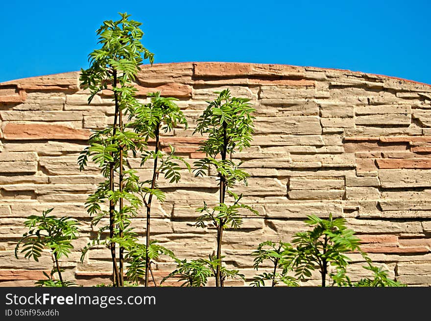 Bricks stone wall background, sky and trees