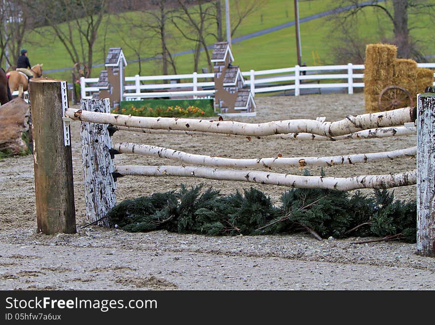 Horse jump consisting of natural birch boughs against a background of other jumps and green lawn. Horse jump consisting of natural birch boughs against a background of other jumps and green lawn.