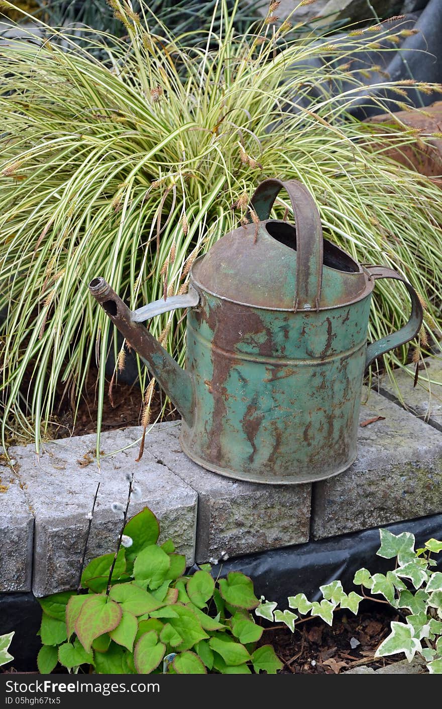 Old Rusty Watering Can