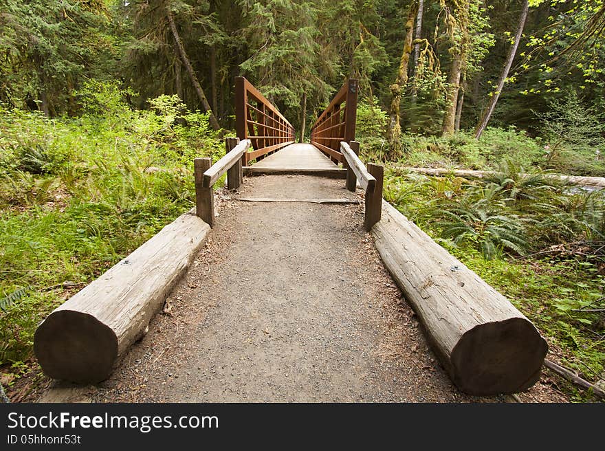 Horizontal wide angle Photo of Nature Bridge over stream near Marymere Falls, Olympic National Park with trees and rocks. Horizontal wide angle Photo of Nature Bridge over stream near Marymere Falls, Olympic National Park with trees and rocks