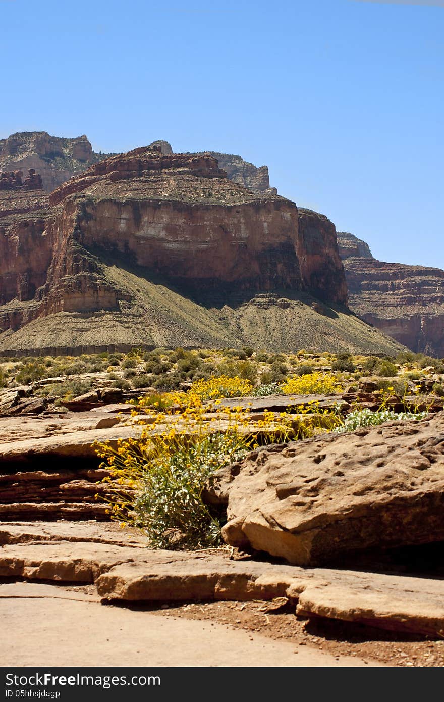 Photo of the grand canyon