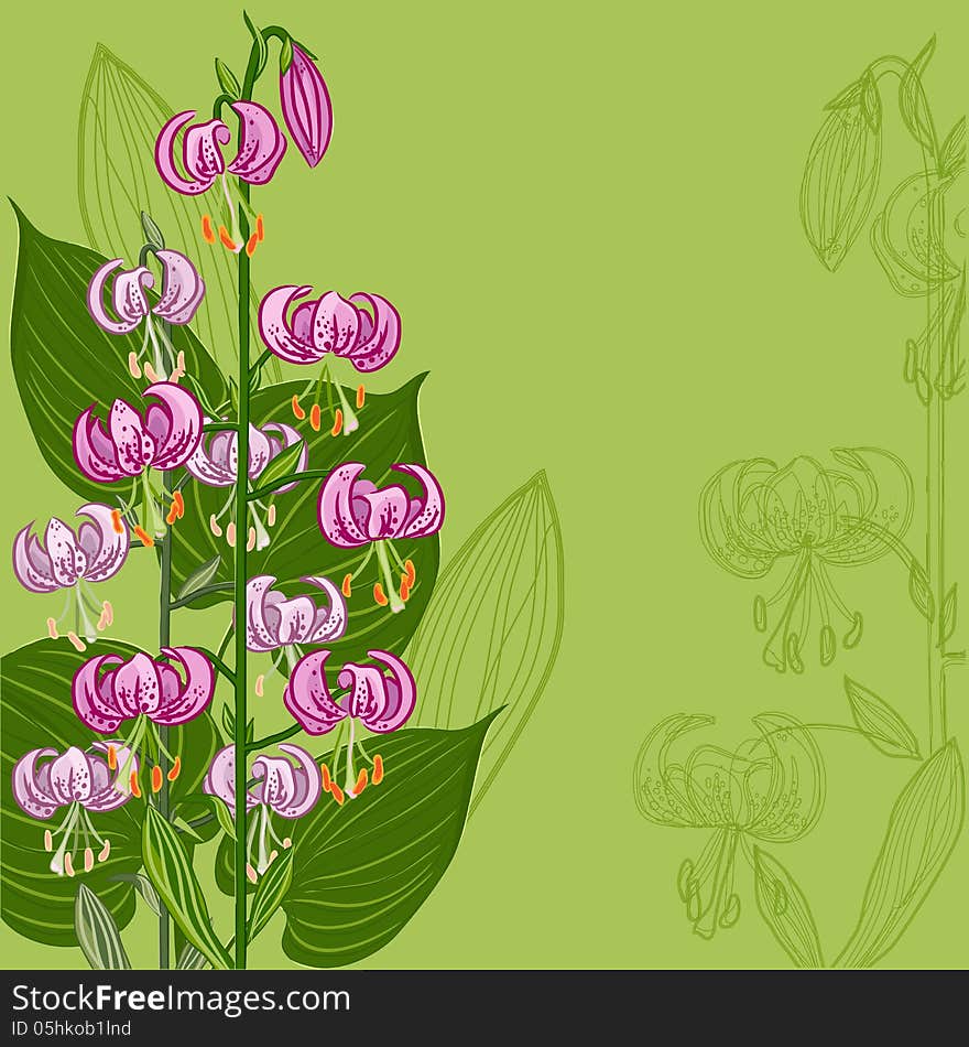 Floral background with Lilium martagon flower