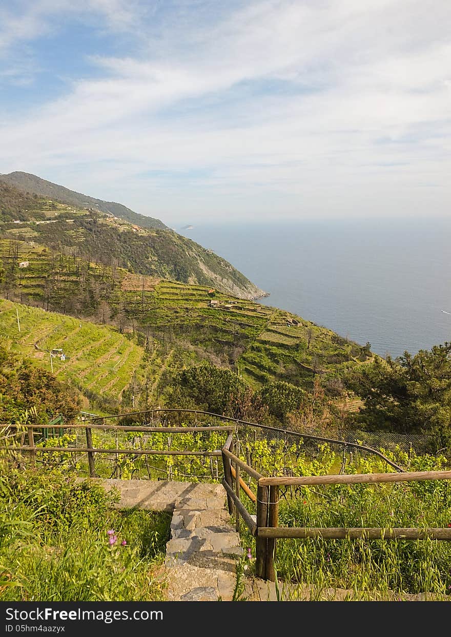 Ligurian coast