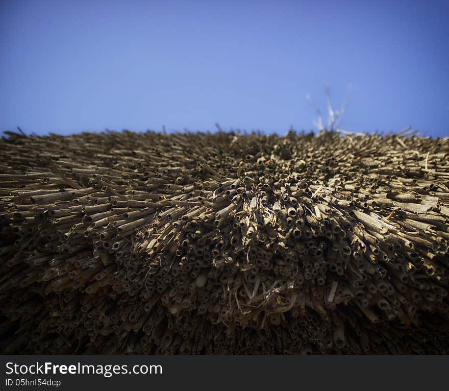 Thatched roof