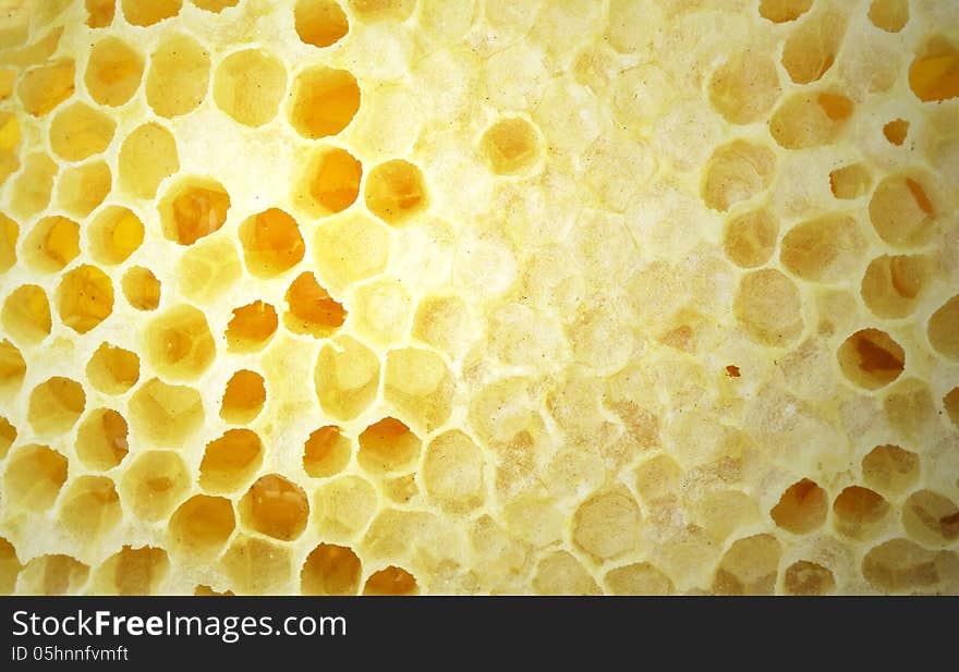 Nature and fresh honeycomb background close up. Nature and fresh honeycomb background close up