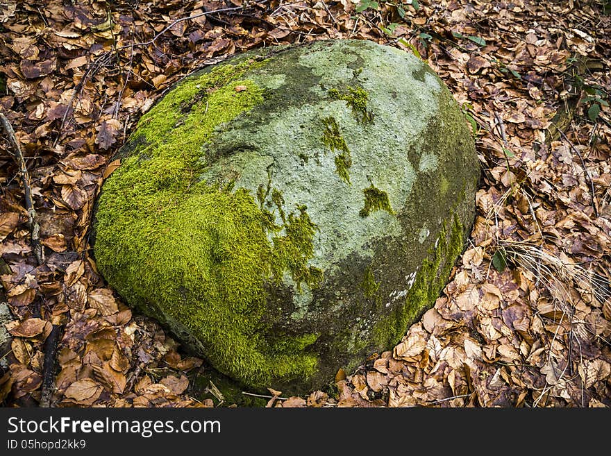 An errant block found in a wood in mecklenburg, germany. An errant block found in a wood in mecklenburg, germany