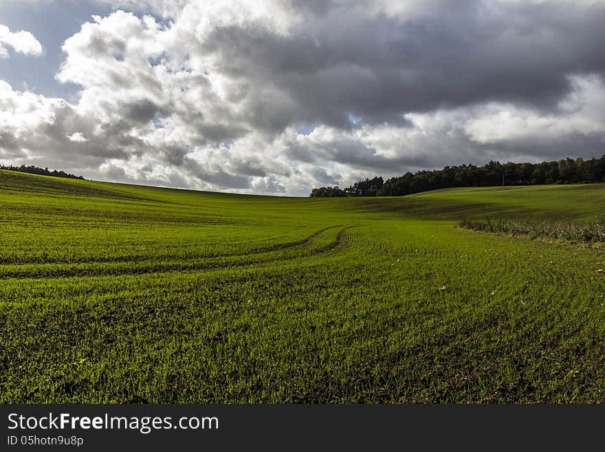 Green field with vibrant lines an dramatic sky