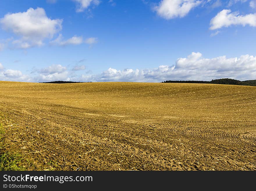 Havest field with blue sky