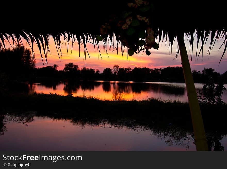 Trees silhouette on sunset Thailand river