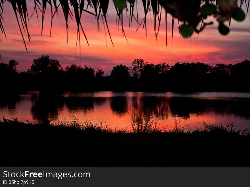 Trees silhouette on sunset Thailand river. Trees silhouette on sunset Thailand river