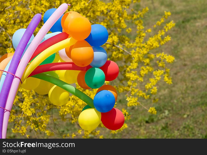 Colorful balls on a background forsythia flowers