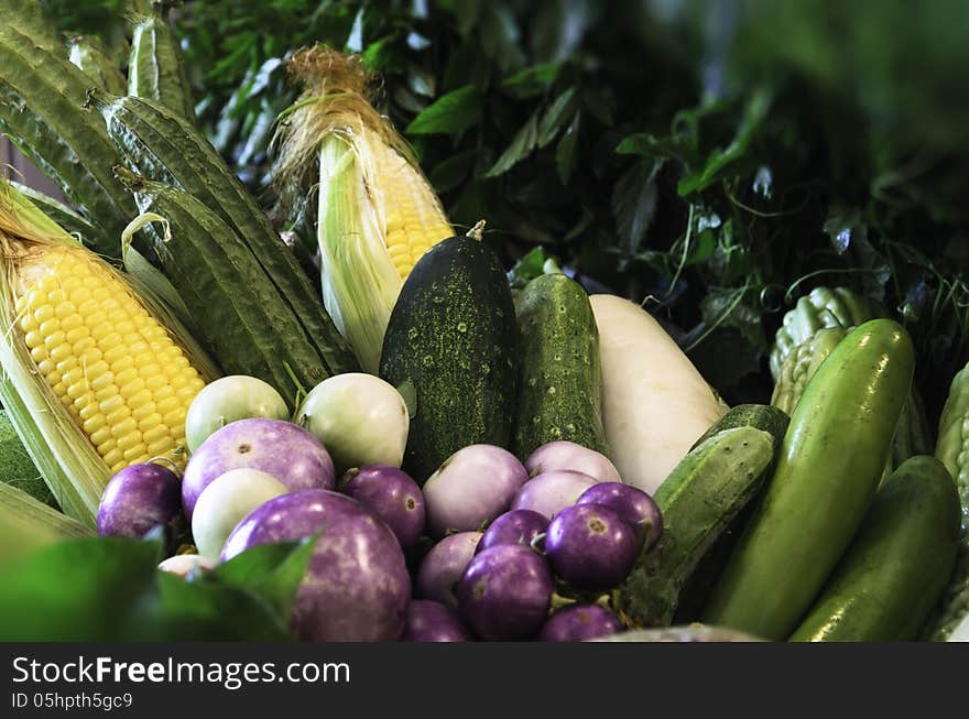 Beautiful Vegetables