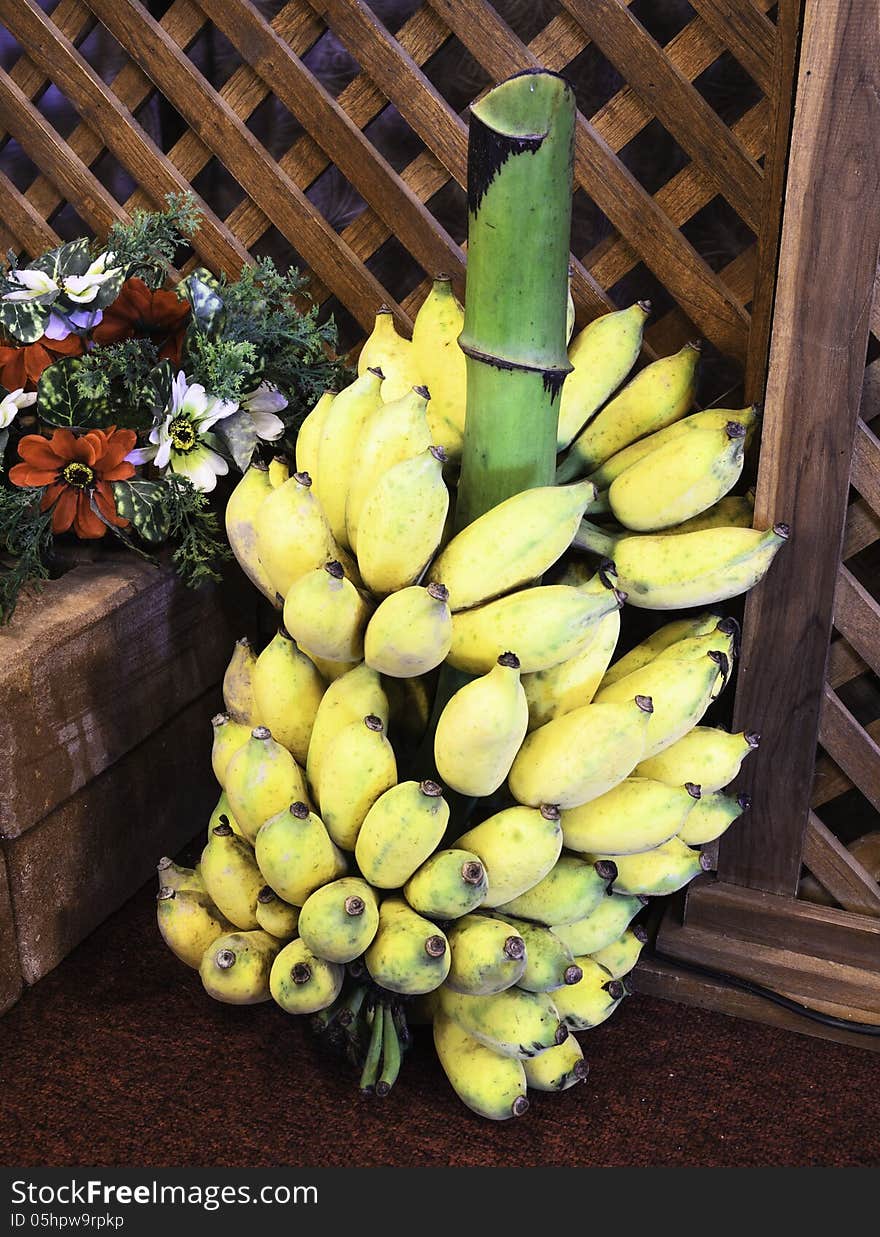 Banana bunch