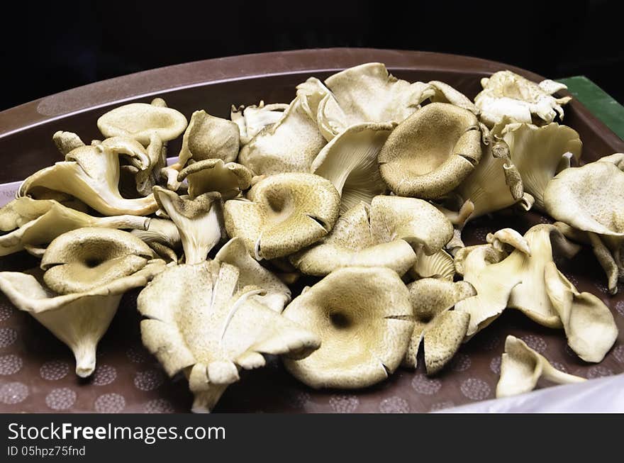 Mushrooms in the produce of the farmers in the show room