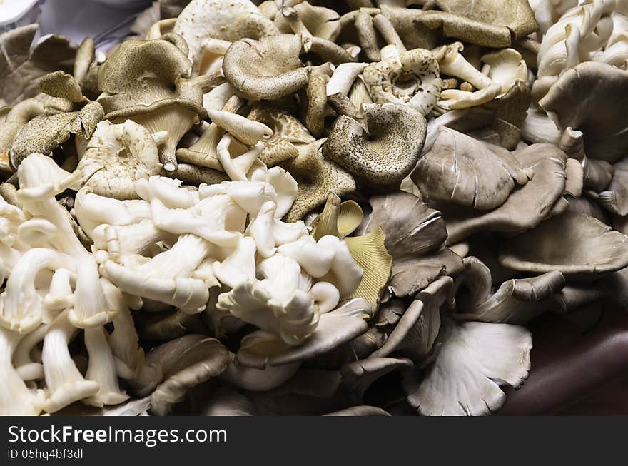 Mushrooms in the produce of the farmers in the show room