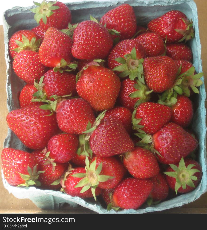 Strawberries fresh from the field to the farmer's market. Strawberries fresh from the field to the farmer's market