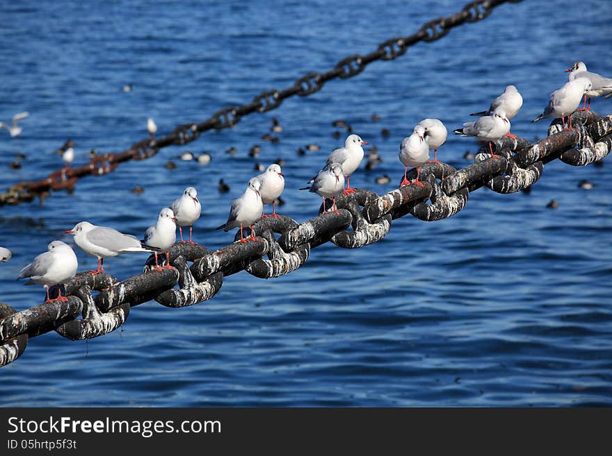 This photograph was taken in Yokohama,Japan. This photograph was taken in Yokohama,Japan.