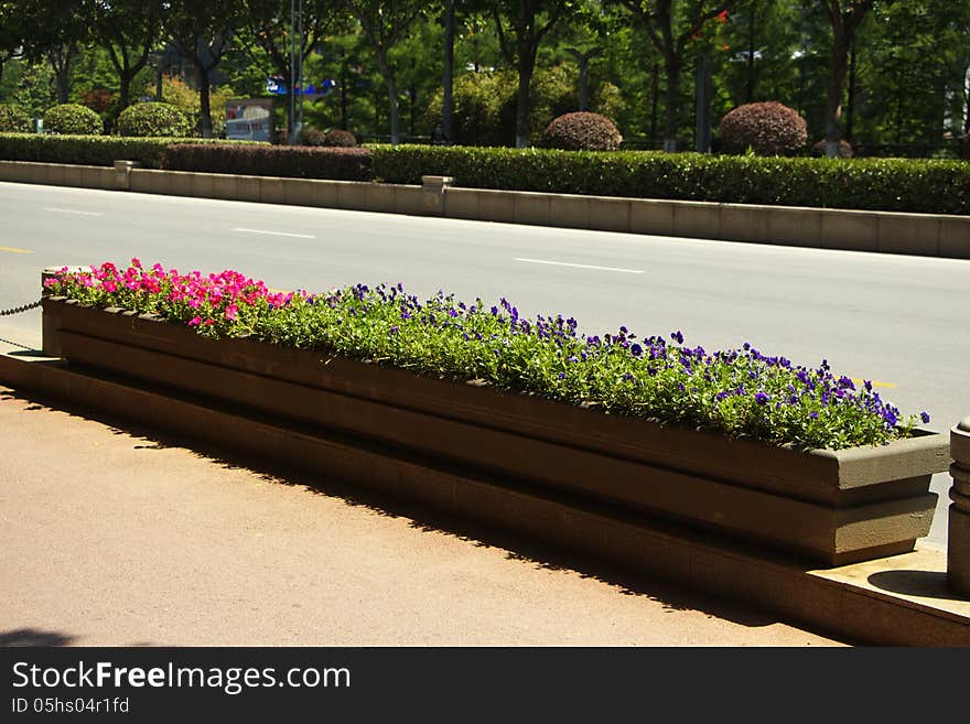 Flower box near road