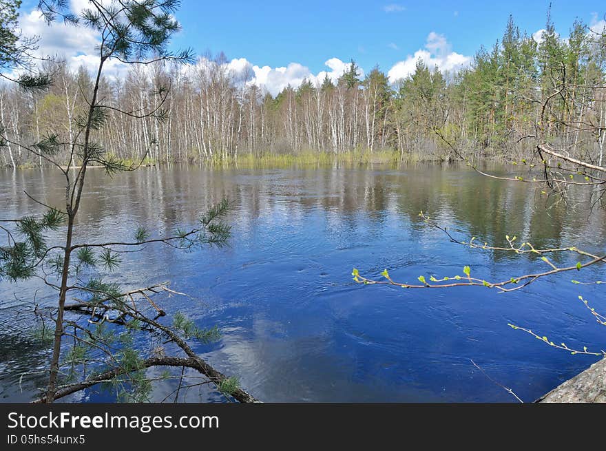 Spring landscape. River in the national Park.