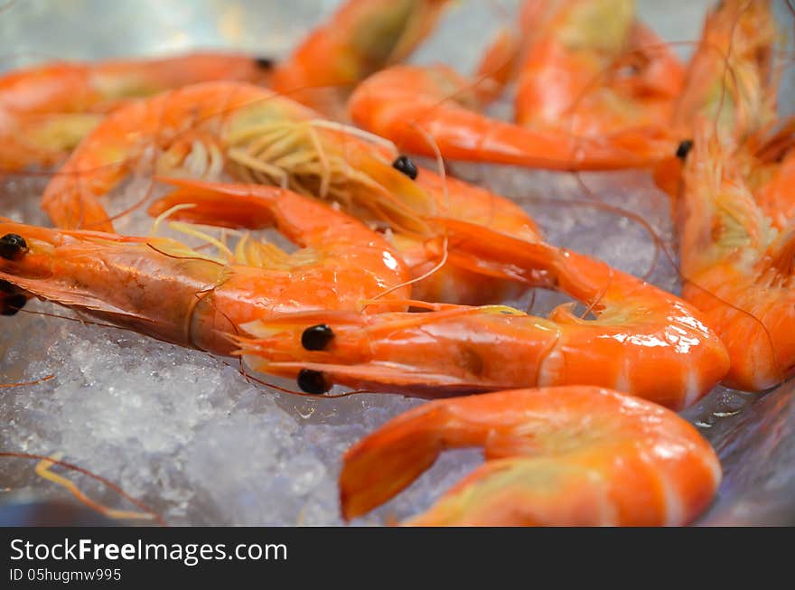 Prawn on ice