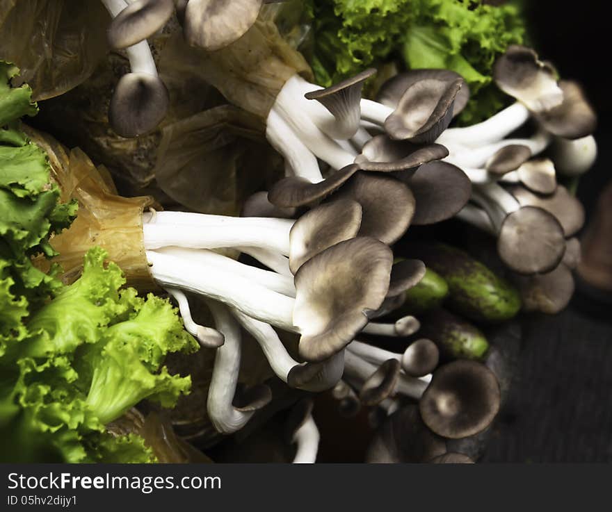 Mushrooms in the produce of the farmers in the show room