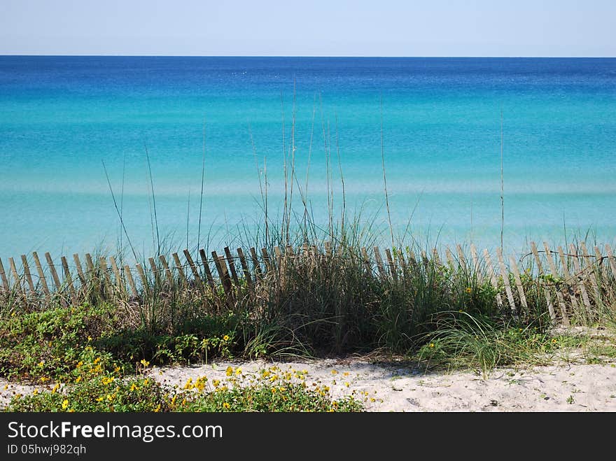 Sea Oats, Fencing, and the Blue Ocean