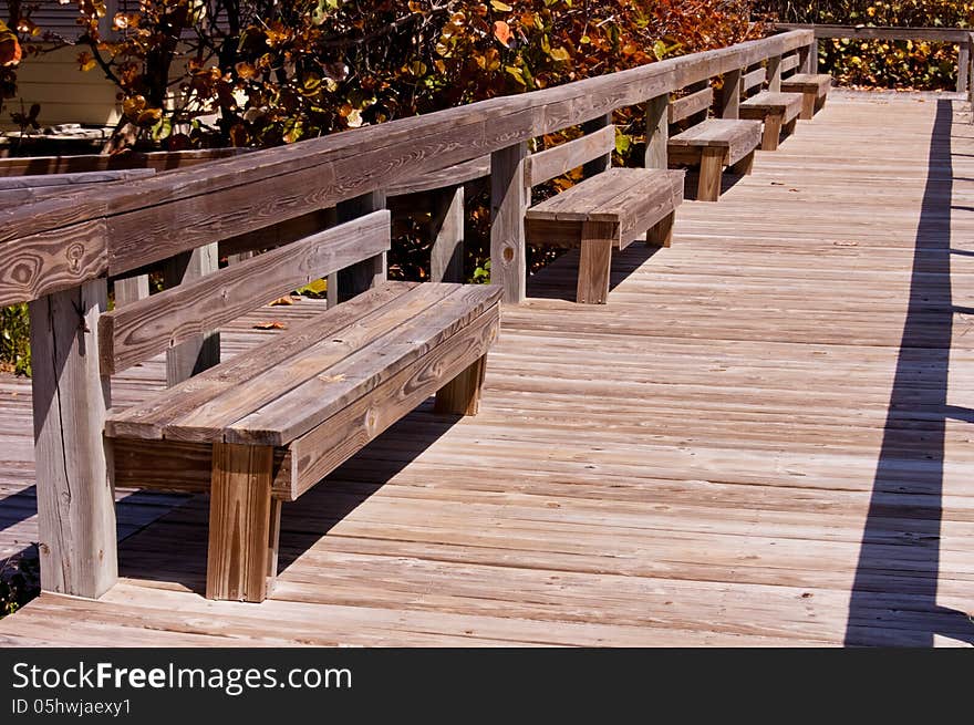 Benches on the beach