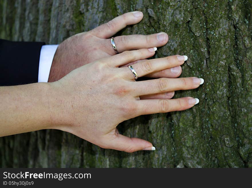 Wedding rings on the hands of the newlyweds