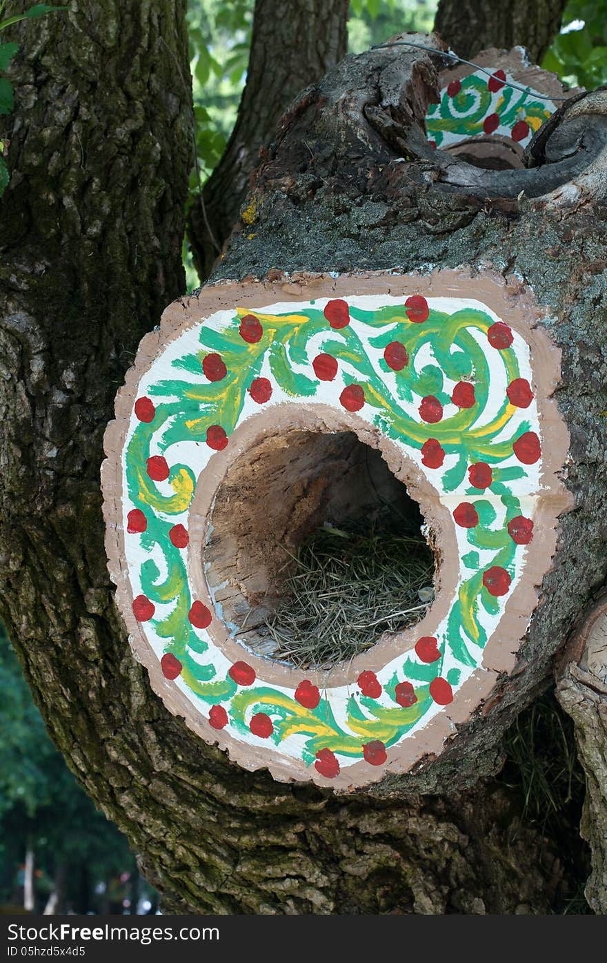 Tree hollow with nest in park