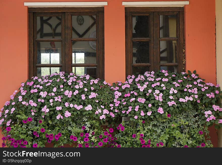 Flowers on windowsill