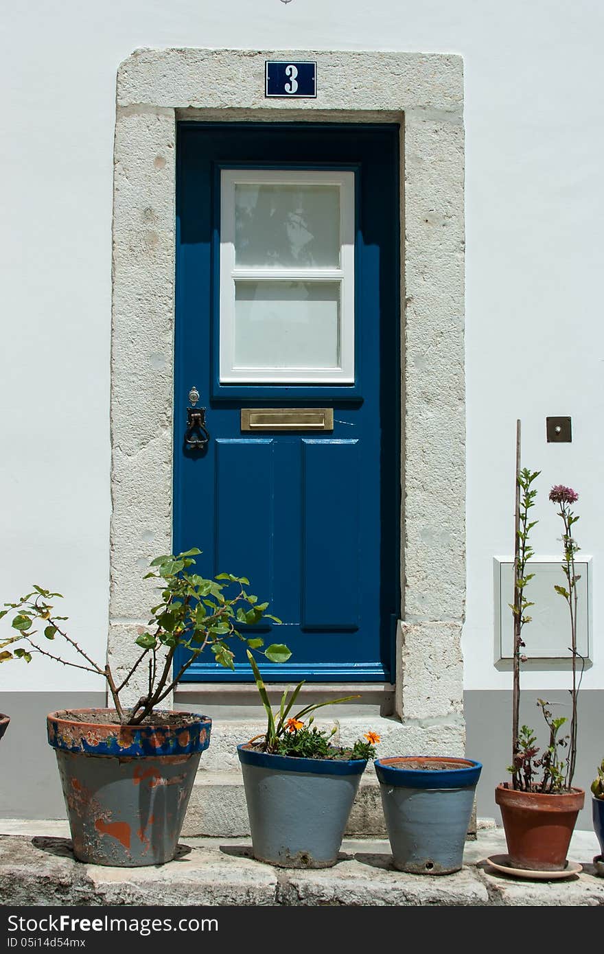 Entrance door with flower pots in front of it