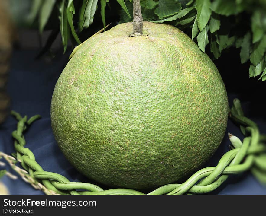 Pomelo