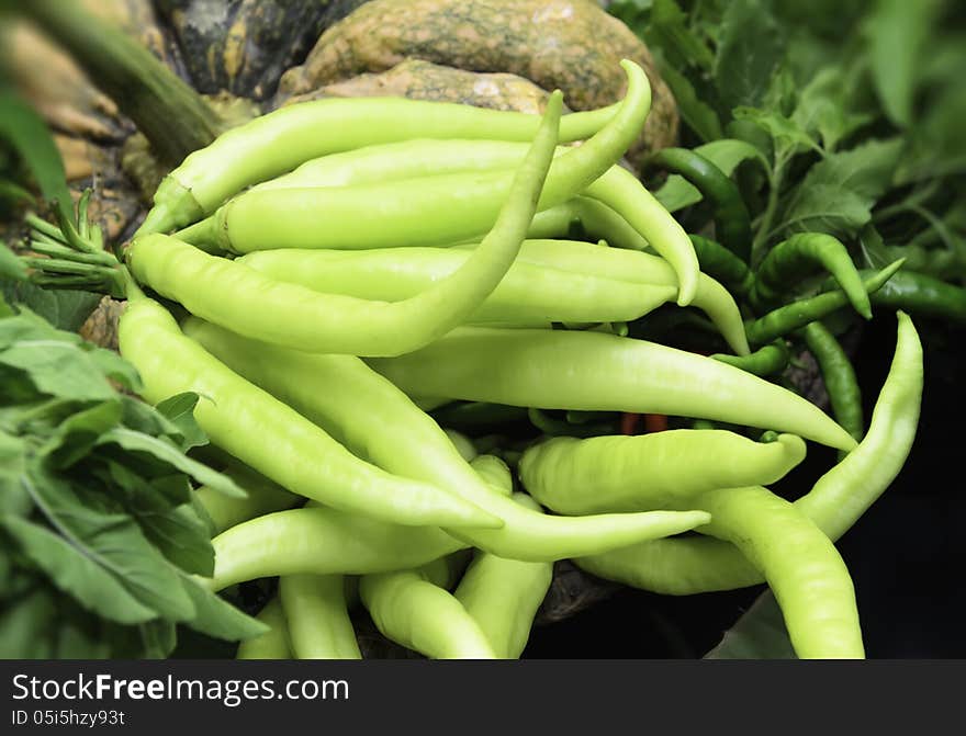 Green pepper in the annual exhibition of agricultural farmers