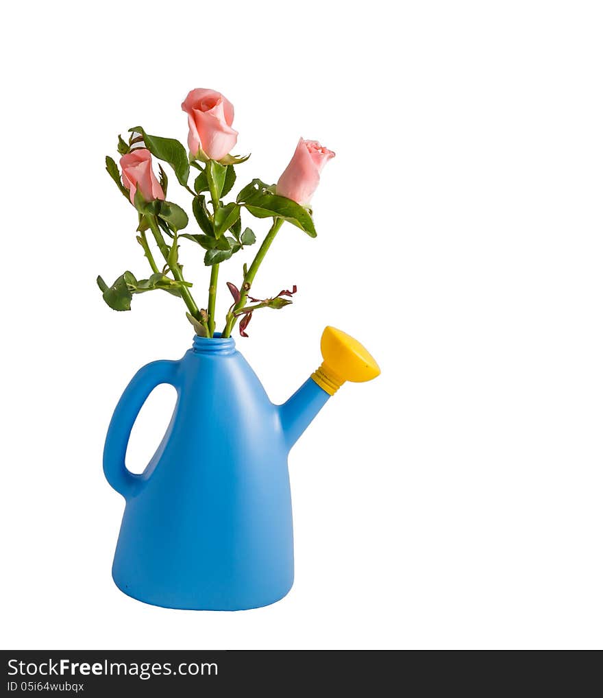 Flowers in blue watering can. Flowers in blue watering can.