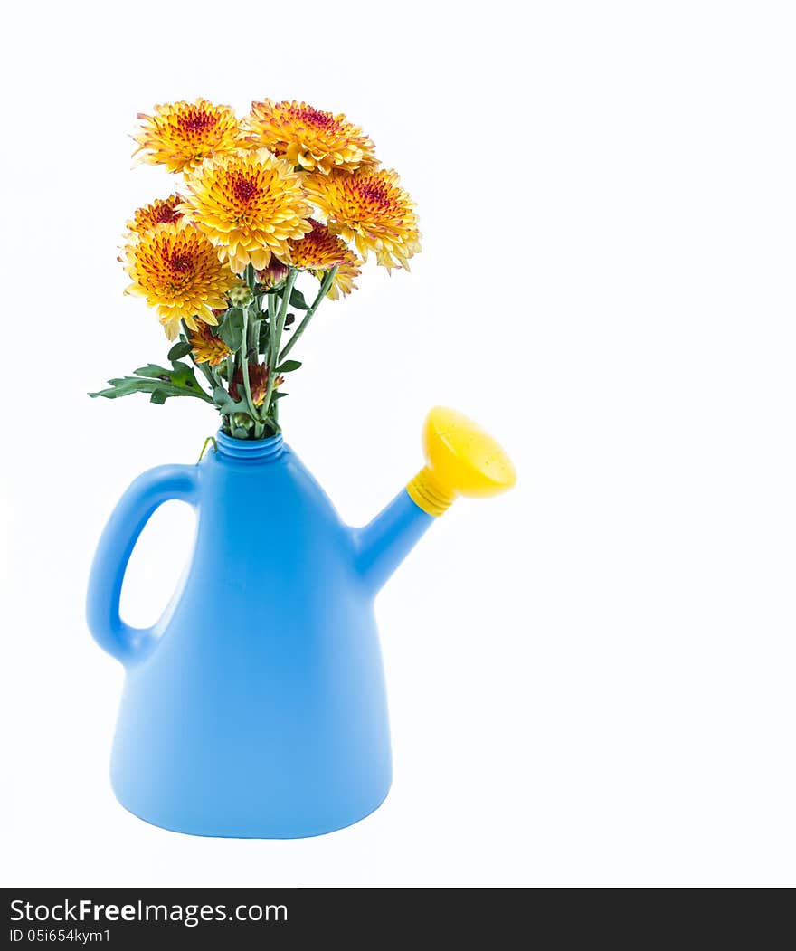 Flowers in blue watering can. Flowers in blue watering can.