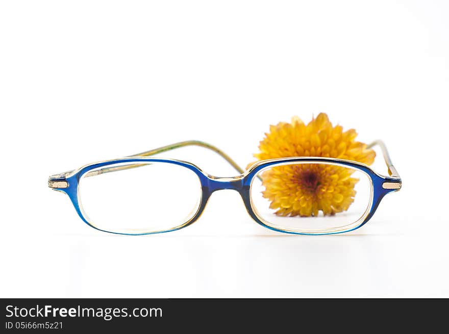 Glasses and flower on white background.