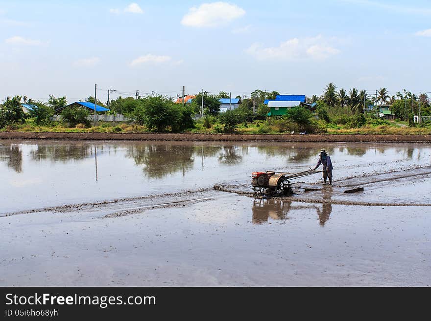 Process Of Thai Farmer Working With A Handheld Motor Plow In A Rice Field.