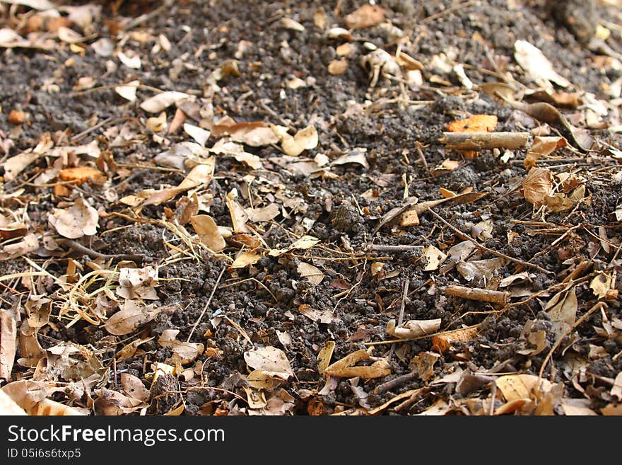 Empty Soil background and texture