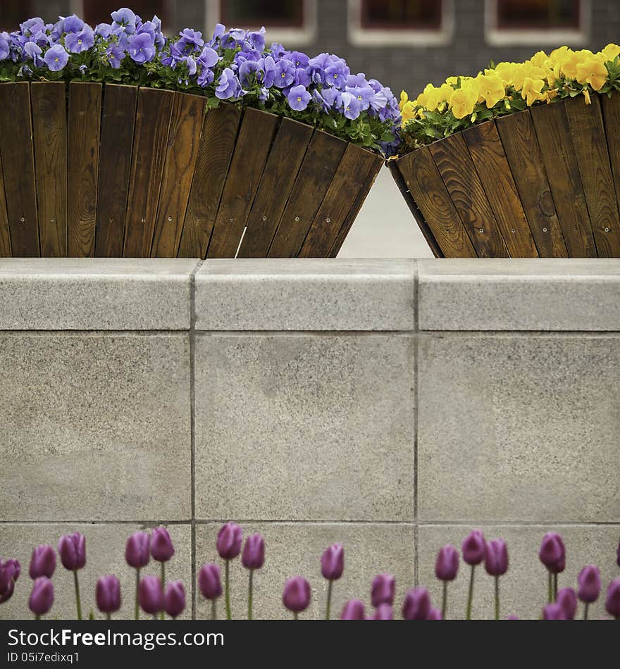 Flowers in front of and behind a wall.