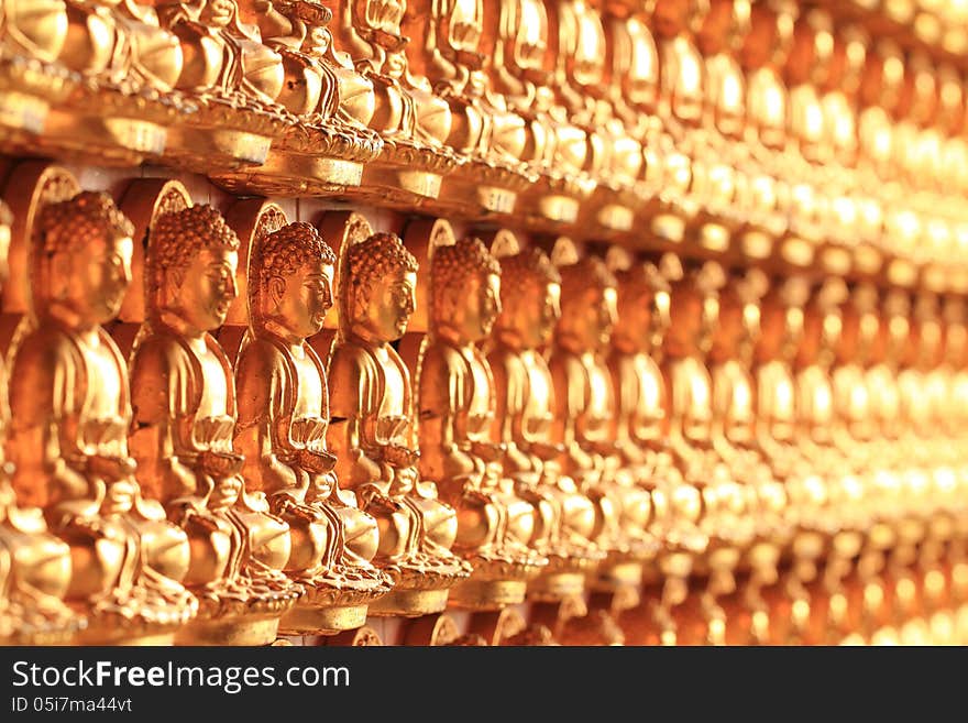 Wall Of Golden Buddha