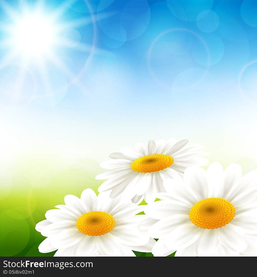 Vector illustration of summer flowers with a beautiful background