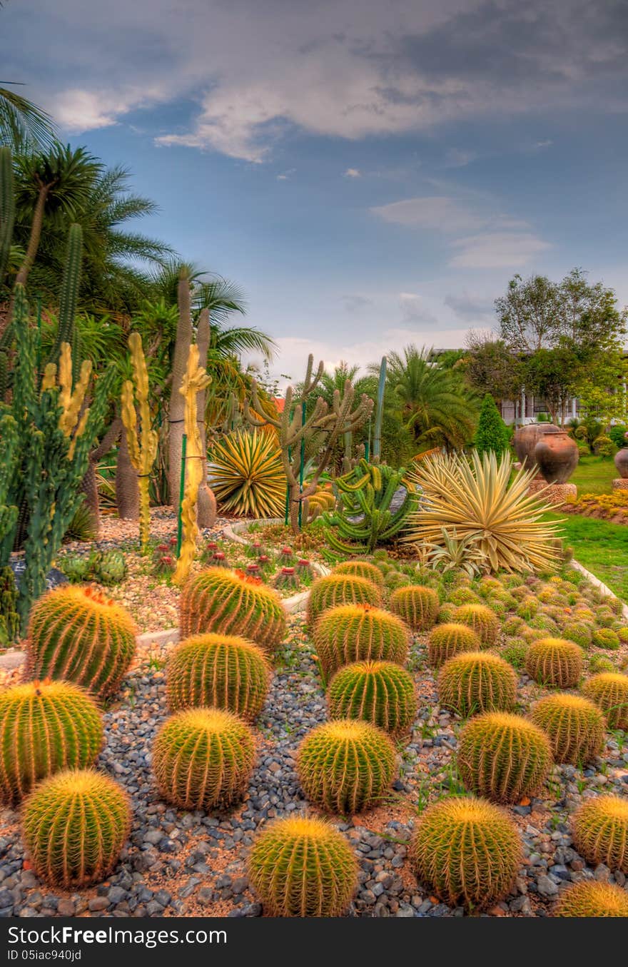 Exotic botanical garden in the North of Thailand