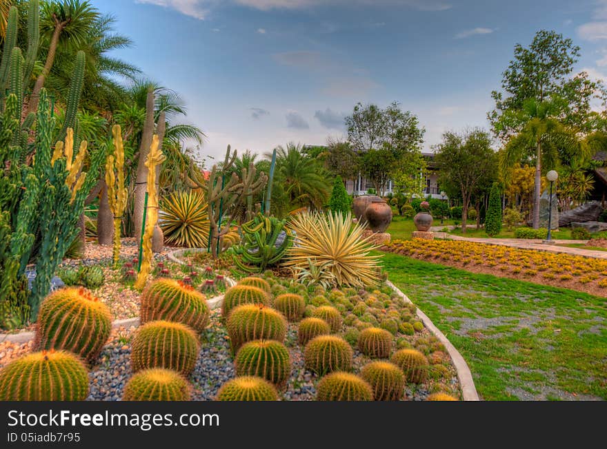 Exotic botanical garden in the North of Thailand