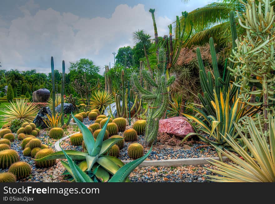 Exotic botanical garden in the North of Thailand