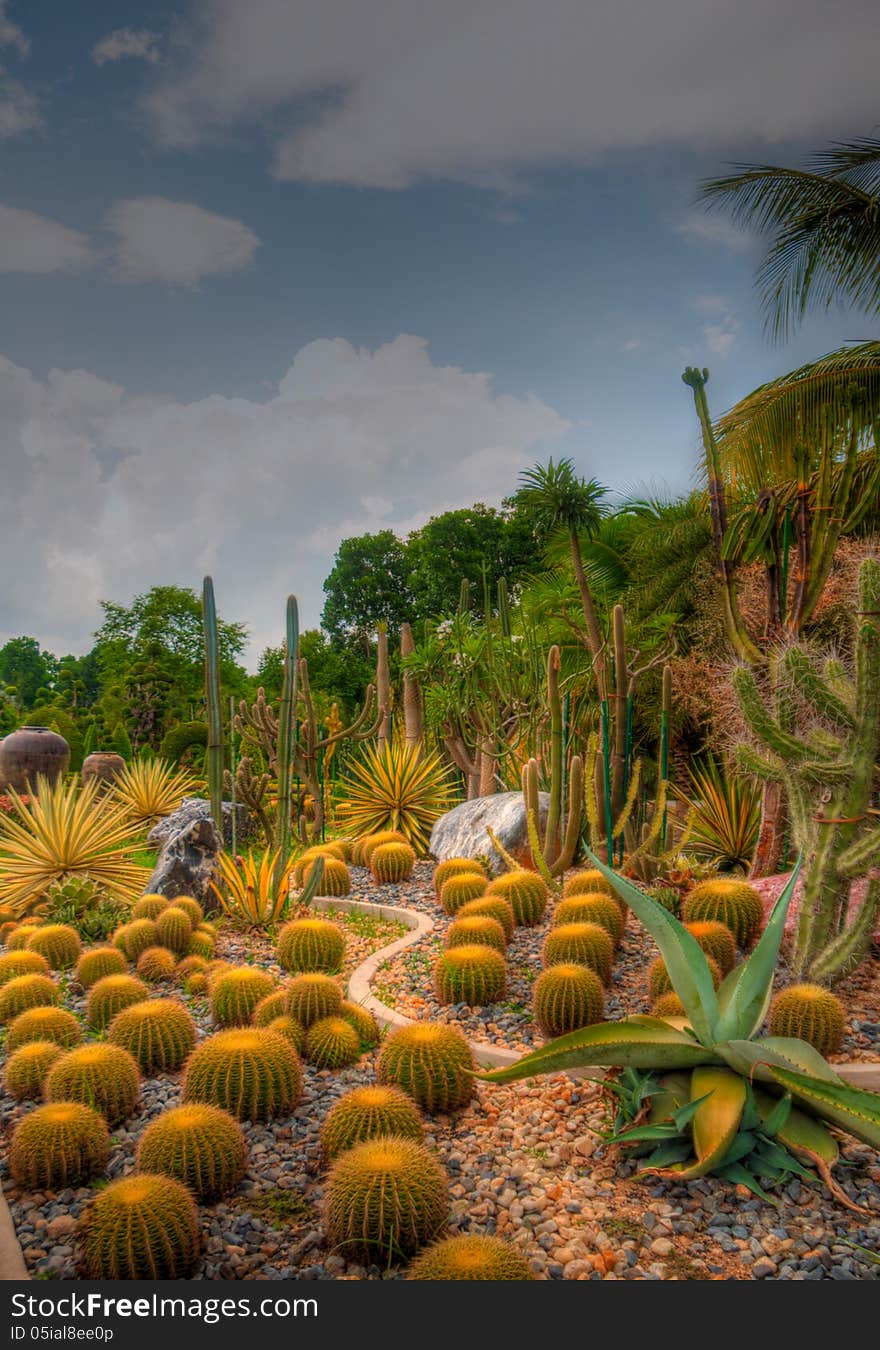 Exotic botanical garden in the North of Thailand