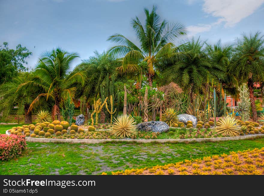 Exotic botanical garden in the North of Thailand